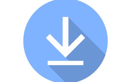 Mrs Downloader: The Ultimate Free Video Downloader 