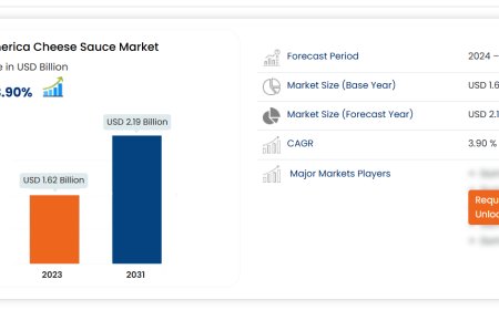 North America Cheese Sauce Market Overview, Growth Analysis, Trends and Forecast By 2031