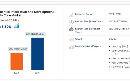 U.S. Residential Intellectual and Developmental Disability Care Market Overview, Growth Analysis, Trends and Forecast By 2031