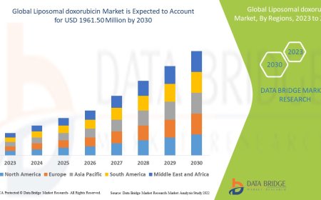 Liposomal Doxorubicin Market Trends, Challenges, and Forecast to 2030