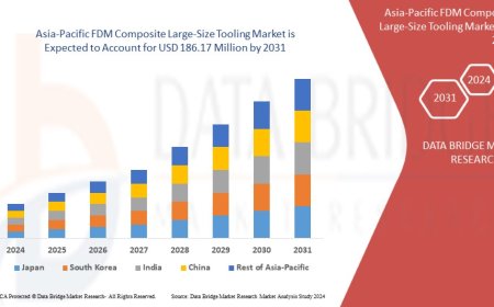 Asia-Pacific FDM Composite Tooling Market Grows with Advanced Manufacturing Needs