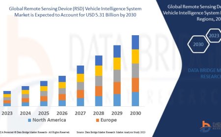 Remote Sensing Device (RSD) Vehicle Intelligence System Market : Report 2025 –2032: Key Trends and Projections