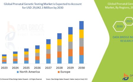Prenatal Genetic Testing Market : Trends, Forecast, and Competitive Landscape 2025 –2032