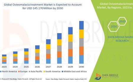 Osteomalacia Treatment Market : Key Drivers and Restraints 2025 –2032