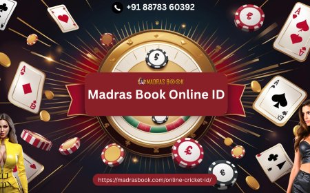 2025 Guide to Safe & Free Online Cricket ID Creation