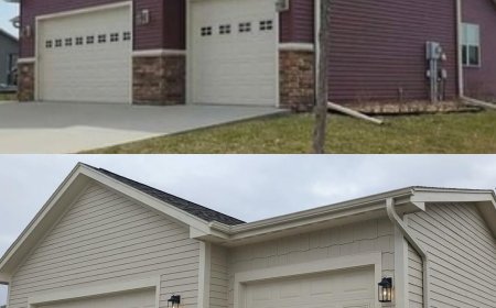 Professional Painting for New Construction Projects