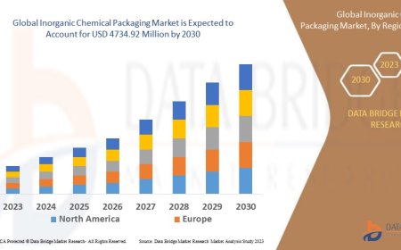 Inorganic Chemical Packaging Market : Insights and Growth Trends 2025 –2032