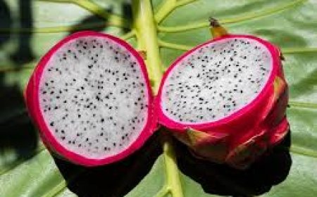 Top Health Benefits of Soursop You Need to Know