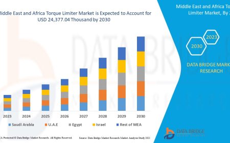 Middle East and Africa Torque Limiter Market Overview: Growth Potential, Challenges & Key Trends