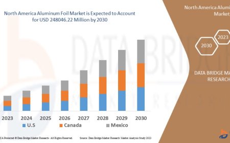 North America Aluminum Foil Market Overview: Growth Potential, Challenges & Key Trends