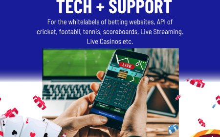 API of Cricket: The Backbone of Fantasy Platforms, Live Odds & Betting Software