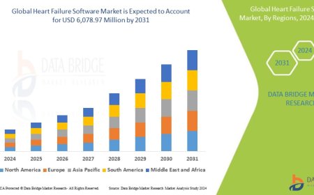 Heart Failure Software Market: Trends, Forecast, and Competitive Landscape 2024 –2031