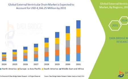 External Ventricular Drain Market: Trends, Forecast, and Competitive Landscape 2024 –2031