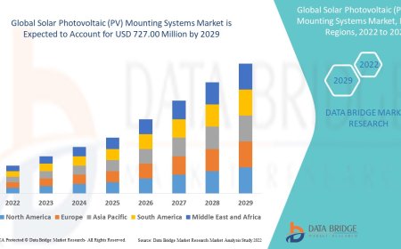 Solar Photovoltaic (PV) Mounting Systems Market Value Analysis and Current Status 2029