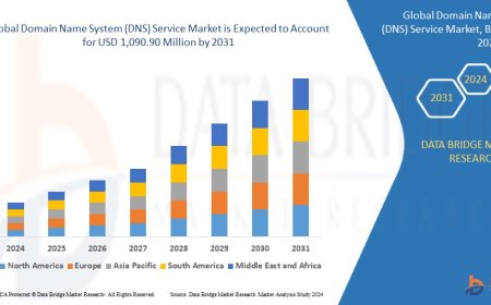 Domain Name System (DNS) Service Market: Trends, Forecast, and Competitive Landscape 2024 –2031