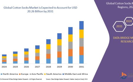 Cotton Socks Market: Trends, Forecast, and Competitive Landscape 2024 –2031
