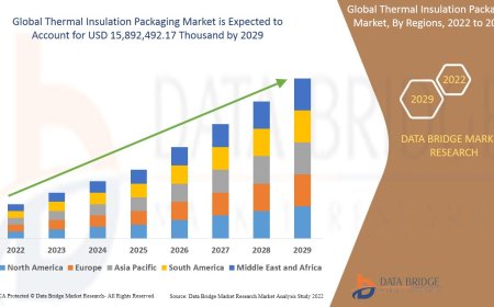 Thermal Insulation Packaging Market Value Analysis and Current Status 2029