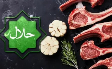 Halal Meat Shopping Tips in Japan for Newcomers