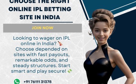 Trusted and Fast: Best Cricket ID Providers You Can Count On