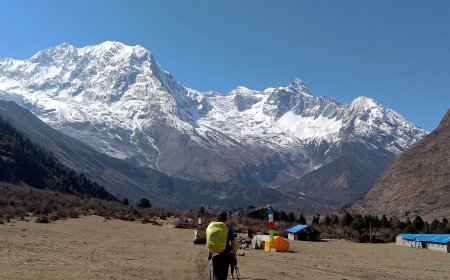 Remarkably Vibrant Manaslu Circuit Survival Guide Delivered