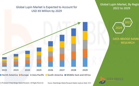 Nutritional Demand and Plant-Based Trends Accelerate Growth in Lupin Market