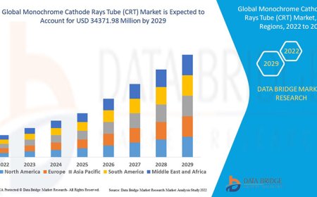 Niche Industrial Applications Sustain Monochrome Cathode Rays Tube (CRT) Market
