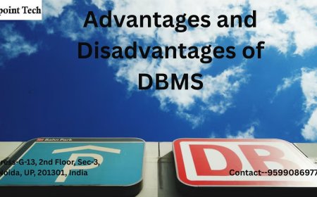 Advantages and Disadvantages of DBMS: A Quick Overview