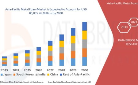 Asia-Pacific Metal Foam Industry: Developments and Trends Period 2025 - 2032