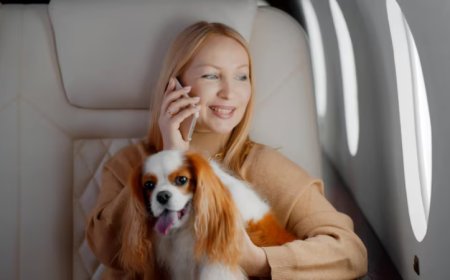 Etihad Pet Policy Guide – Travel With Pets Easily