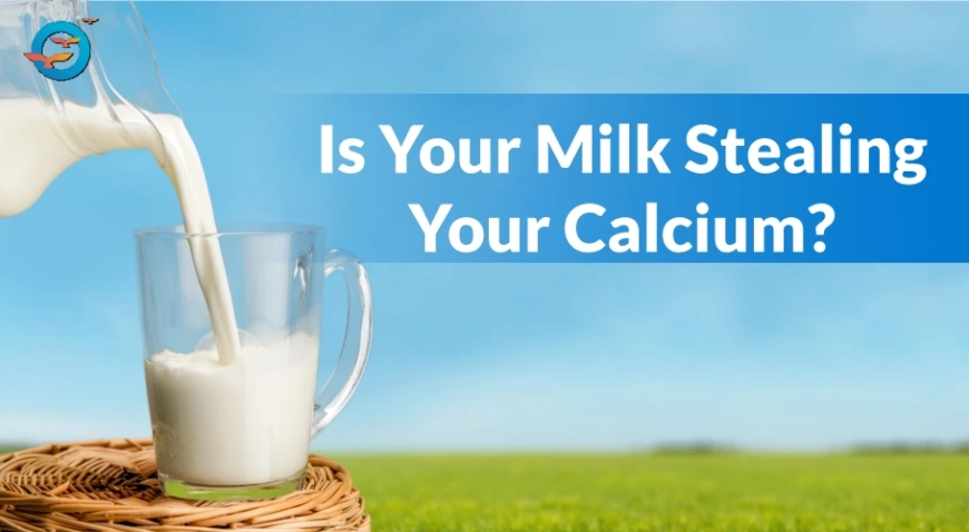 Milk and Bone Health: What Science Really Says