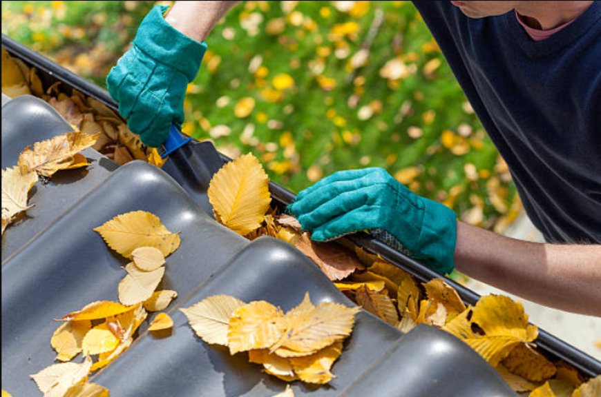 Geelong’s Top Gutter Cleaning Myths—Debunked by Experts