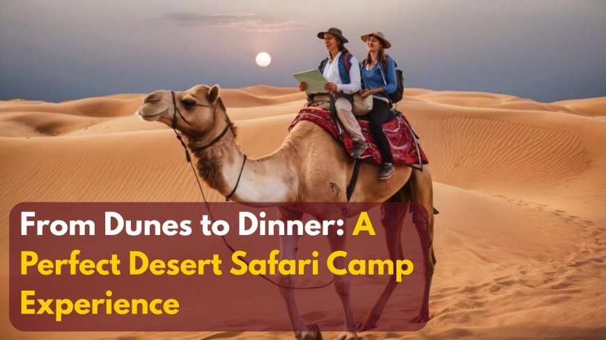 From Dunes to Dinner: A Perfect Desert Safari Camp Experience