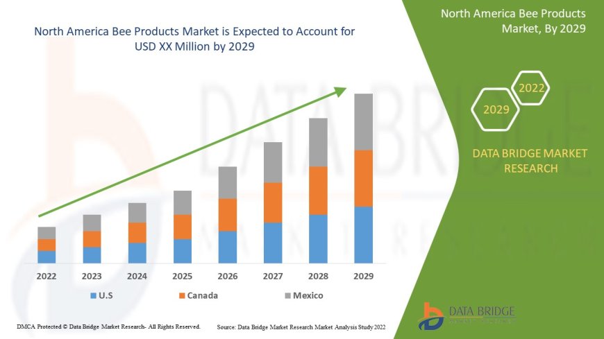 North America Bee Products Market Soars with Increased Focus on Natural Remedies
