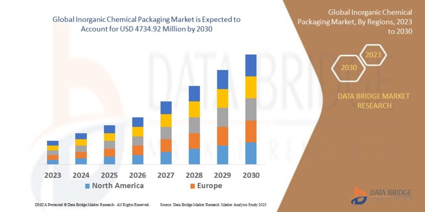 Inorganic Chemical Packaging Market : Insights and Growth Trends 2025 –2032
