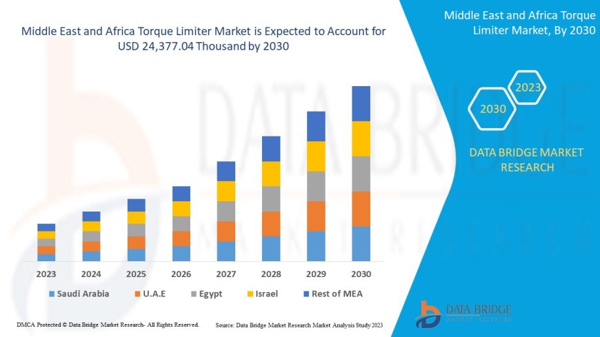 Middle East and Africa Torque Limiter Market Overview: Growth Potential, Challenges & Key Trends