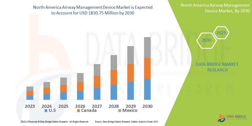 North America Airway Management Device Market Overview: Growth Potential, Challenges & Key Trends