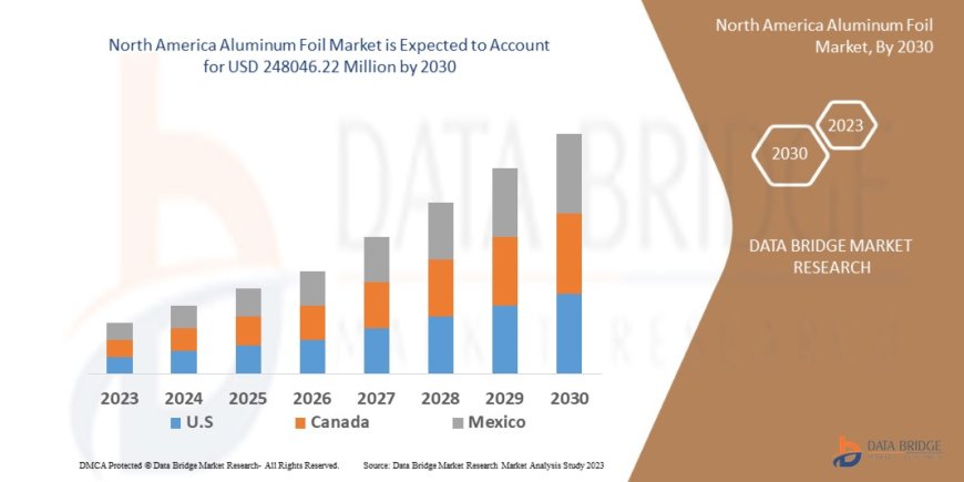 North America Aluminum Foil Market Overview: Growth Potential, Challenges & Key Trends