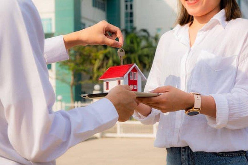 Why You Should Buy a Property Immediately: A Smart Move in Today’s Market