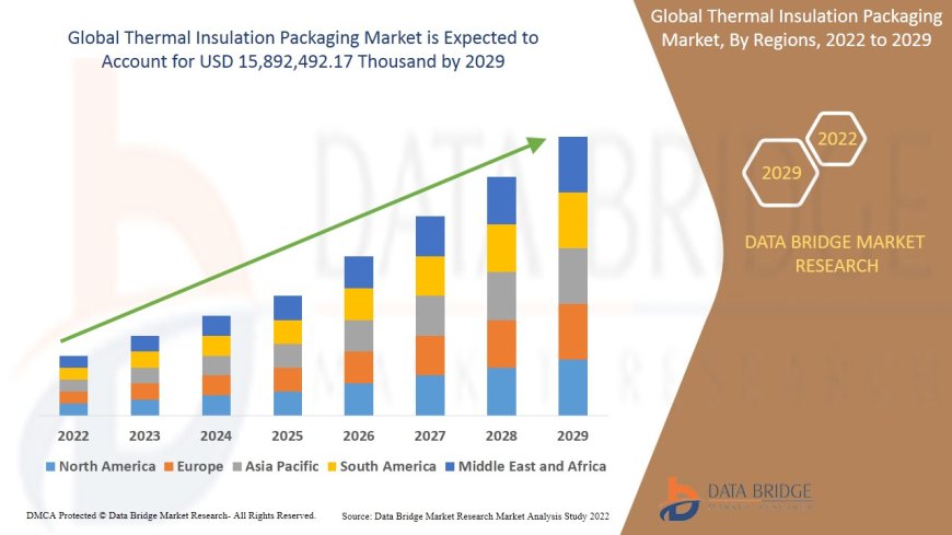 Thermal Insulation Packaging Market Value Analysis and Current Status 2029