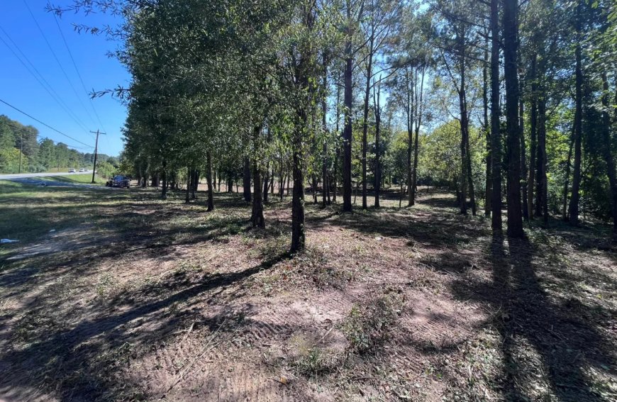 How Expert Forestry Mulching Services in Fort Valley, GA Help Landowners Transform Overgrown Properties into Usable, Beautiful Landscapes