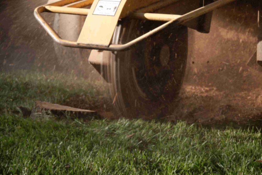 The Ultimate Guide to Stump Grinding: Everything You Need to Know