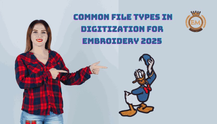 Common File Types in Digitization for Embroidery 2025