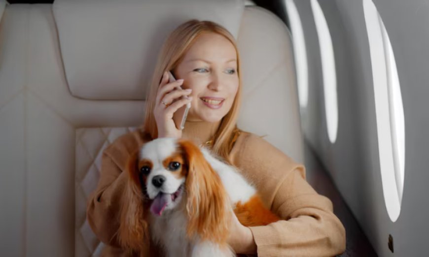 Etihad Pet Policy Guide – Travel With Pets Easily