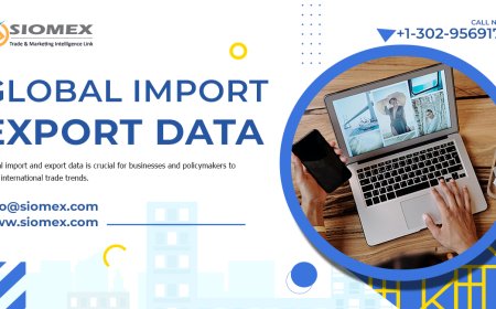 How to Build a Profitable Import Export Business Model.