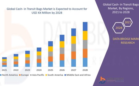 Cash- in Transit Bags Sector: Outlook and Insights by 2025 - 2032