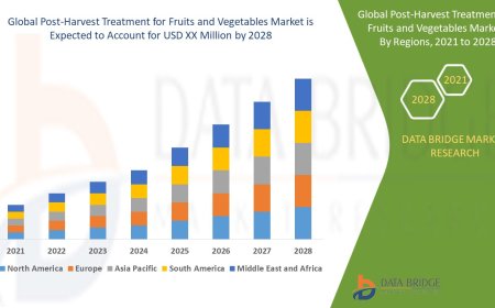 Post-Harvest Treatment for Fruits and Vegetables Business Outlook: Forecast and Analysis Period 2025 - 2032