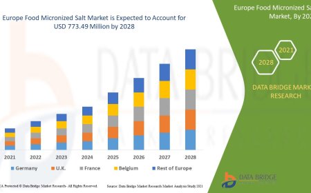 Europe Food Micronized Salt Business Outlook: Forecast and Developments to 2025 - 2032