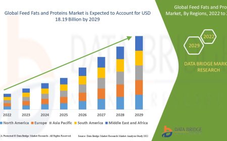Feed Fats and Proteins Business Outlook: Forecast and Opportunities to 2025 - 2032