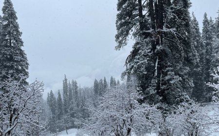 Kedarkantha Trek – An Enchanting Expedition In The Himalayas by TrekYaari