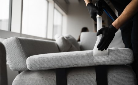 Stop Allergies at Home with Expert Sofa Cover Cleaning Services